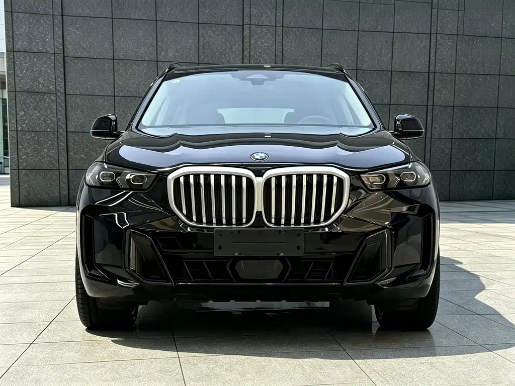 BMW X5 — фото 2