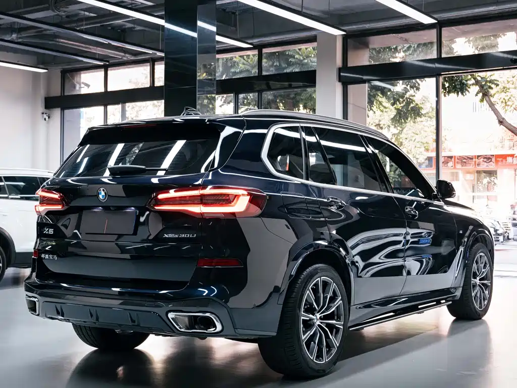 BMW X5 — фото 3