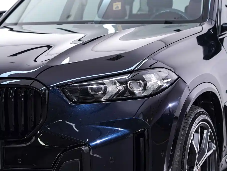 BMW X5 — фото 10