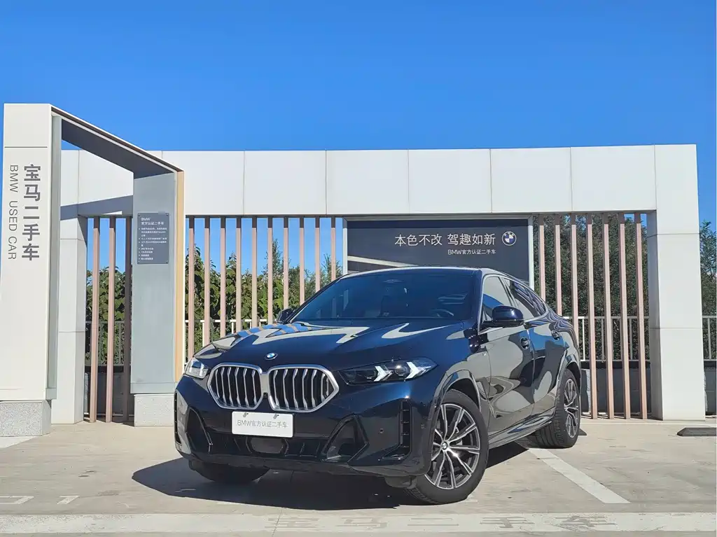 BMW X6