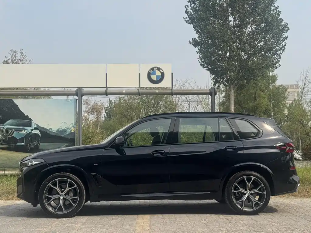 BMW X5 — фото 5