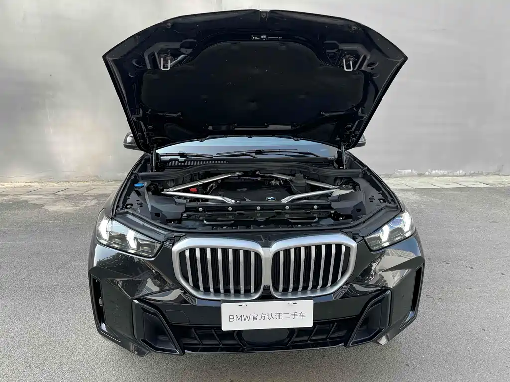 BMW X5 — фото 11