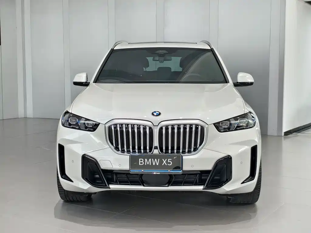 BMW X5 — фото 2