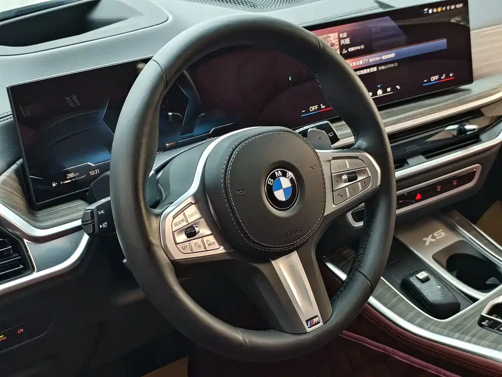 BMW X5 — фото 10