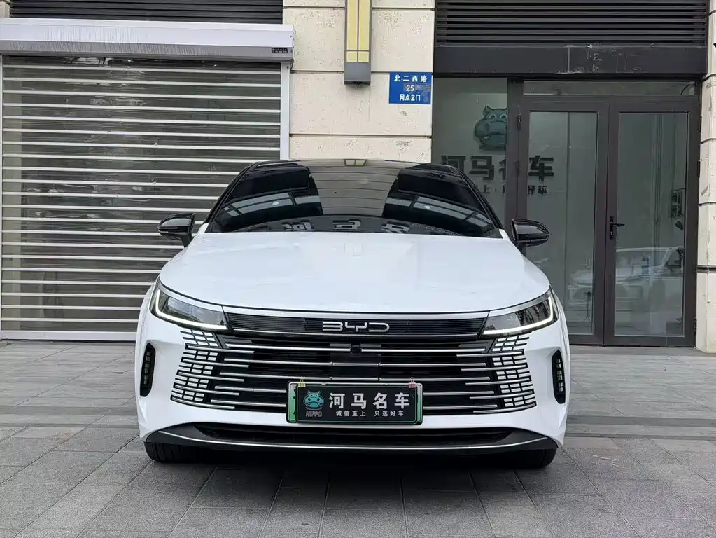 BYD Destroyer 05 — фото 2