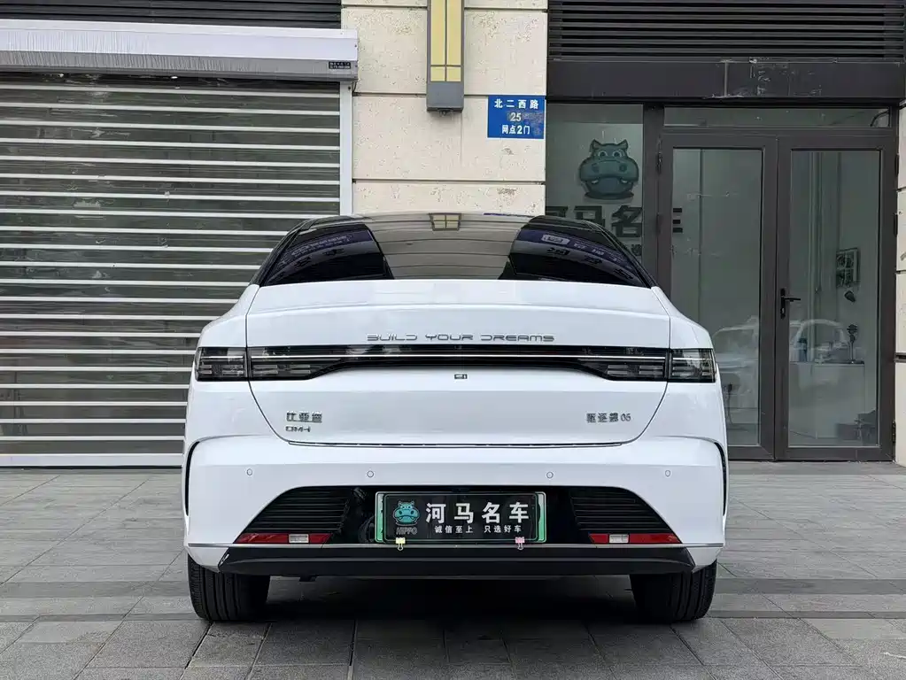 BYD Destroyer 05 — фото 11