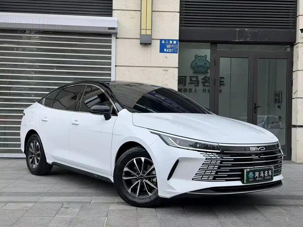 BYD Destroyer 05 — фото 3