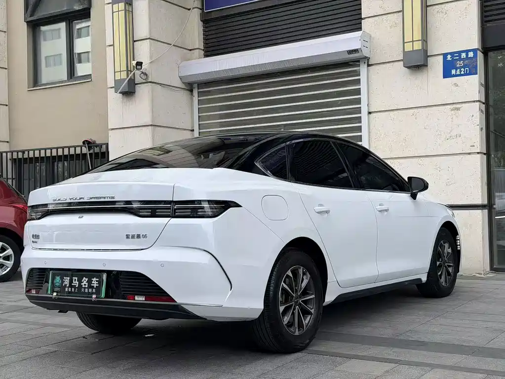 BYD Destroyer 05 — фото 10