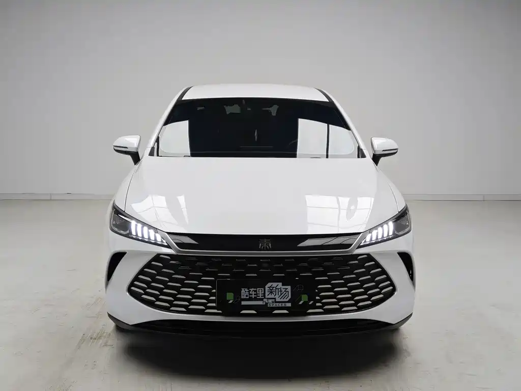 BYD Qin PLUS — фото 2