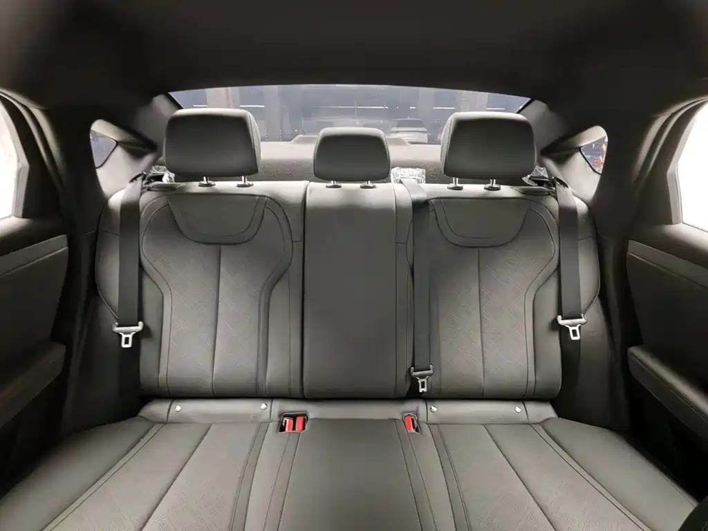 BYD Qin PLUS — фото 17