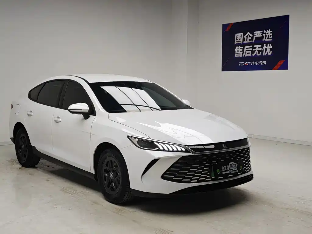BYD Qin PLUS — фото 3