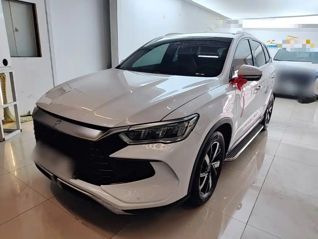 BYD Pro New Energy — фото 2