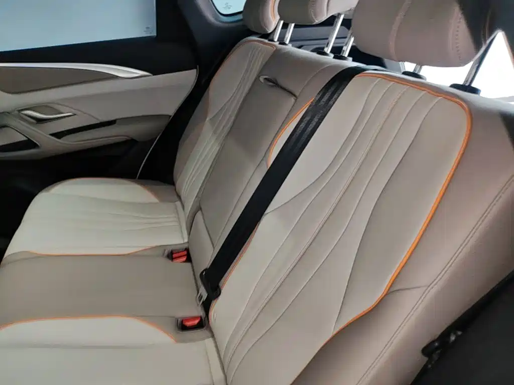BYD Pro New Energy — фото 17
