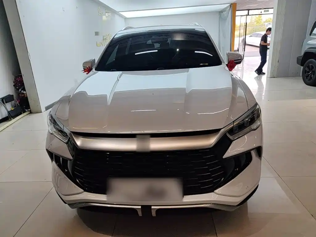 BYD Pro New Energy — фото 3
