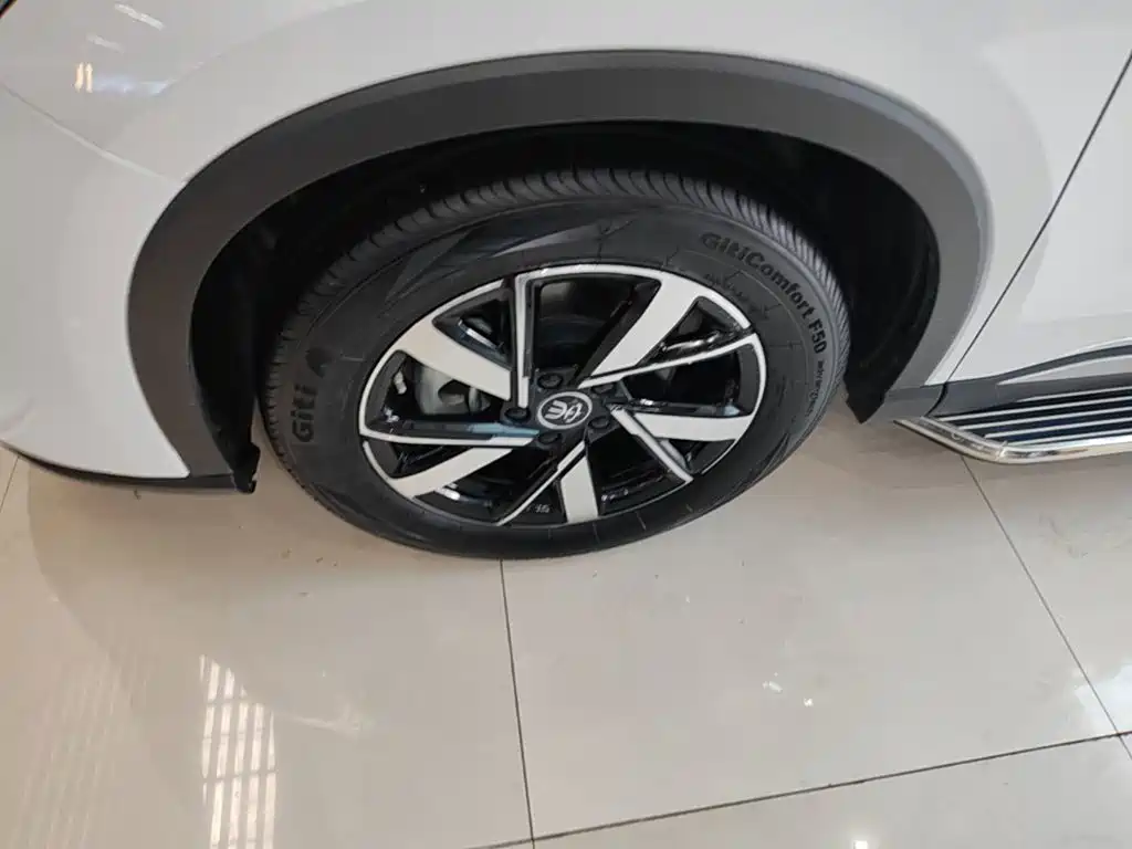 BYD Pro New Energy — фото 23