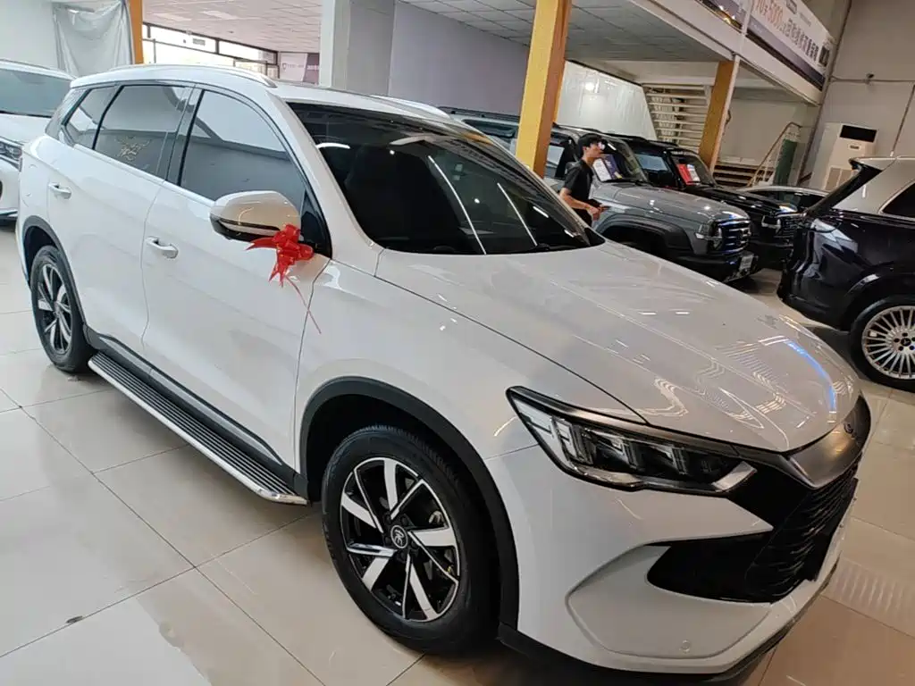 BYD Pro New Energy — фото 4