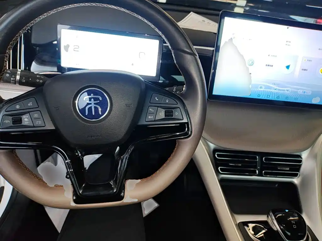 BYD Pro New Energy — фото 10