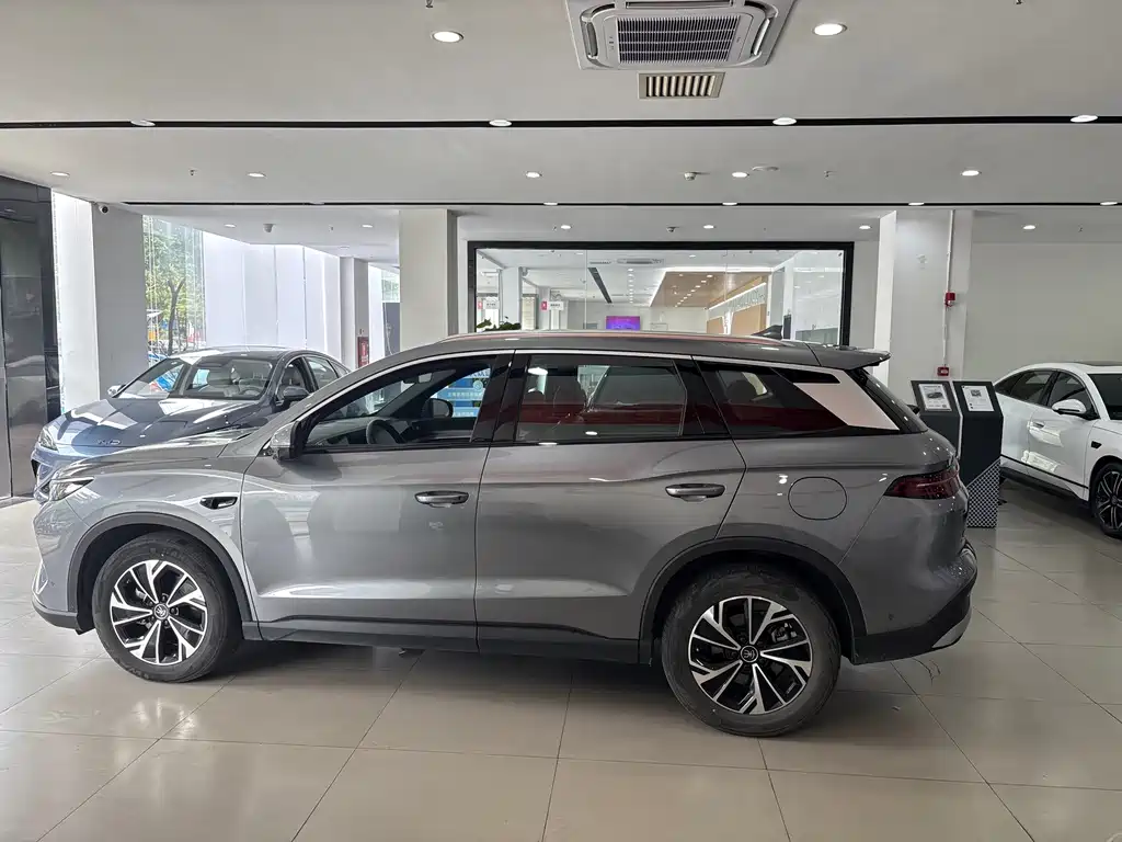 BYD Pro New Energy — фото 4
