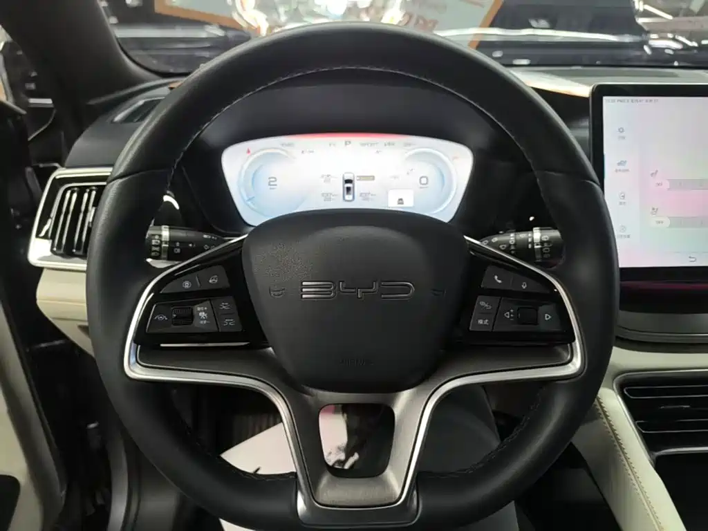 BYD PLUS New Energy — фото 11