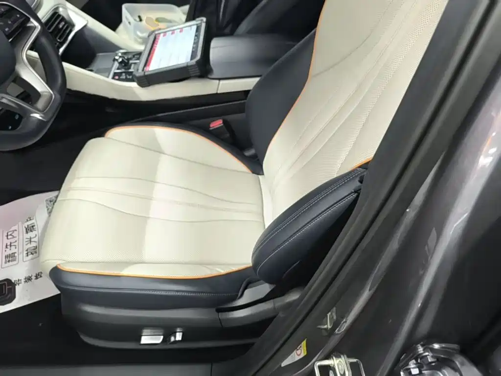 BYD PLUS New Energy — фото 15