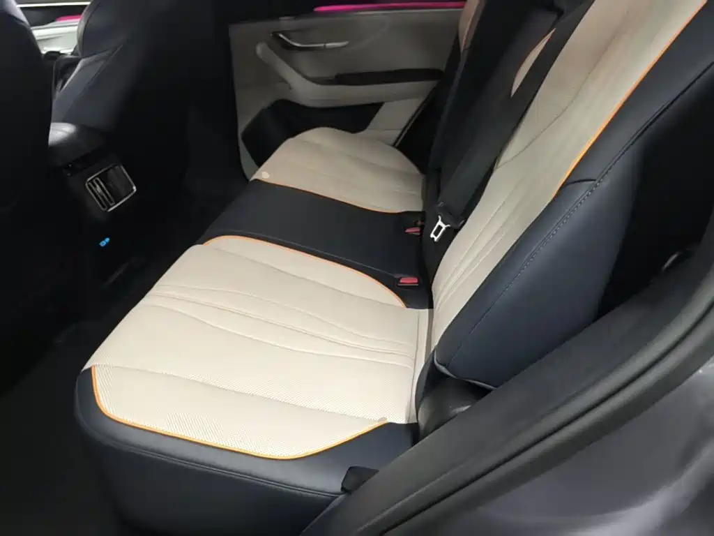 BYD PLUS New Energy — фото 17