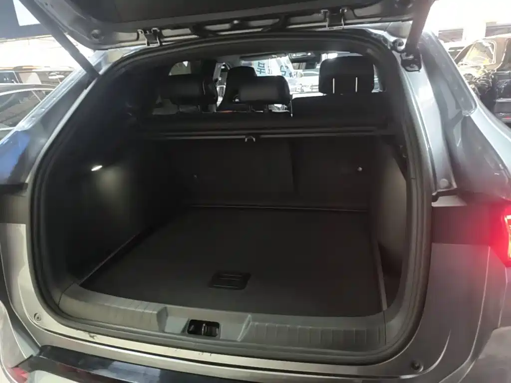 BYD PLUS New Energy — фото 19