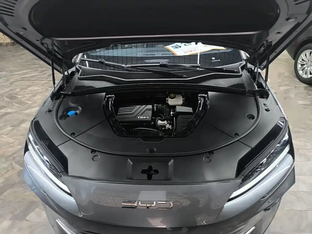 BYD PLUS New Energy — фото 20