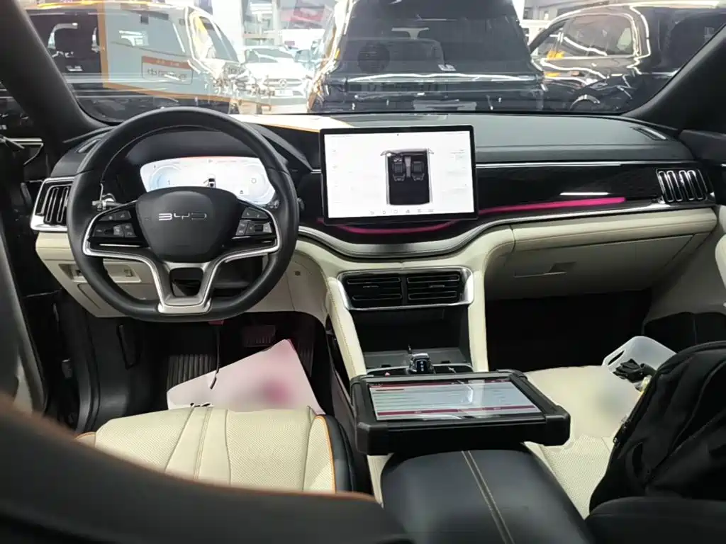 BYD PLUS New Energy — фото 10