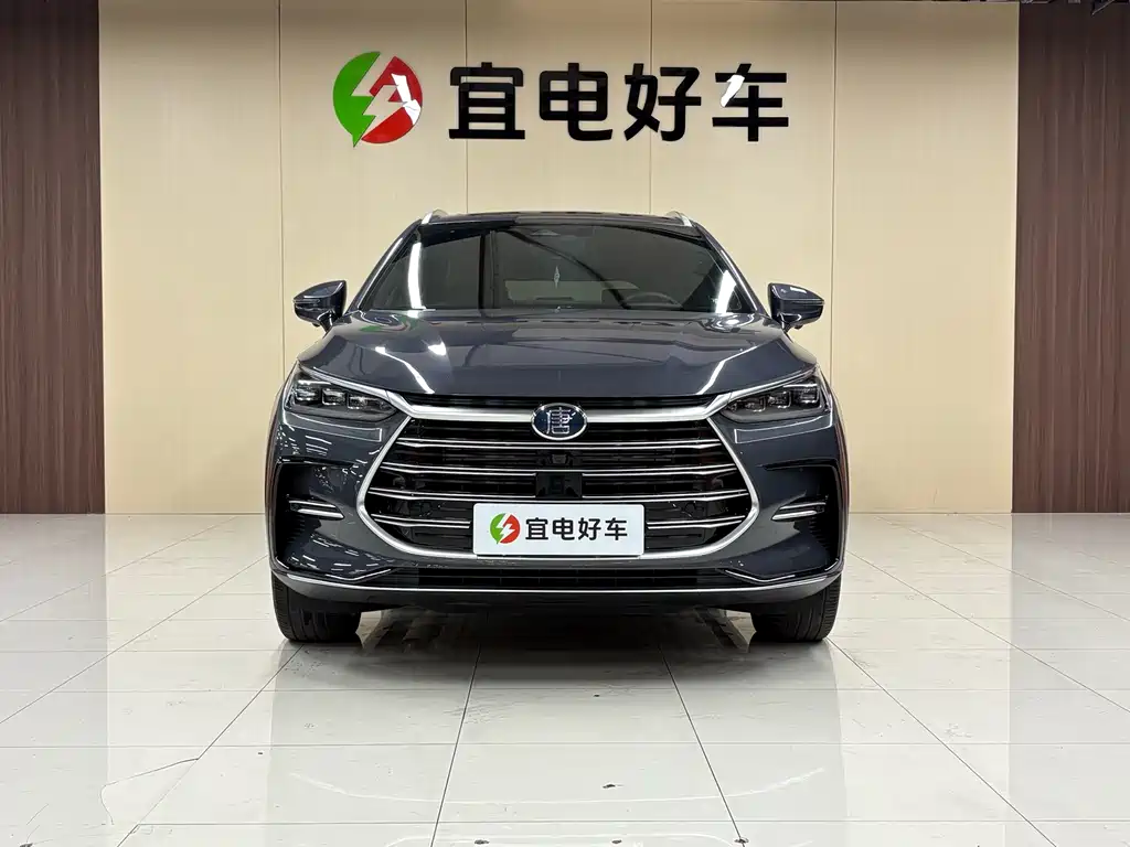 BYD Tang New Energy — фото 2