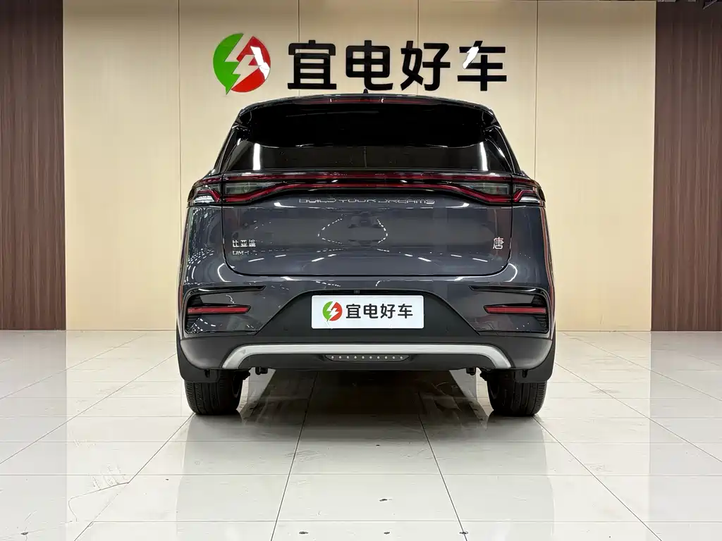 BYD Tang New Energy — фото 6