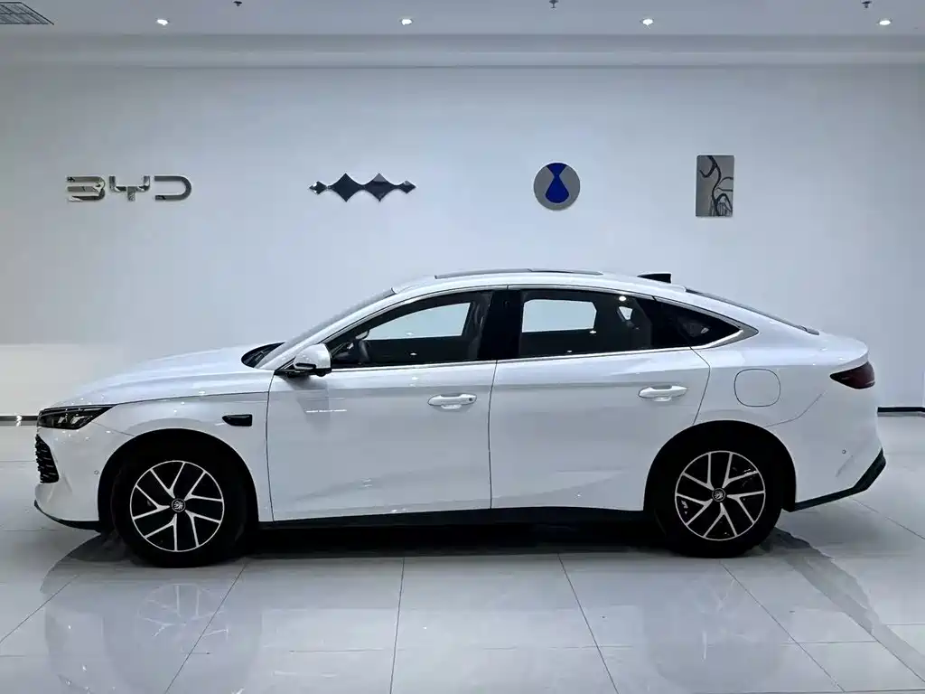BYD Qin L — фото 2