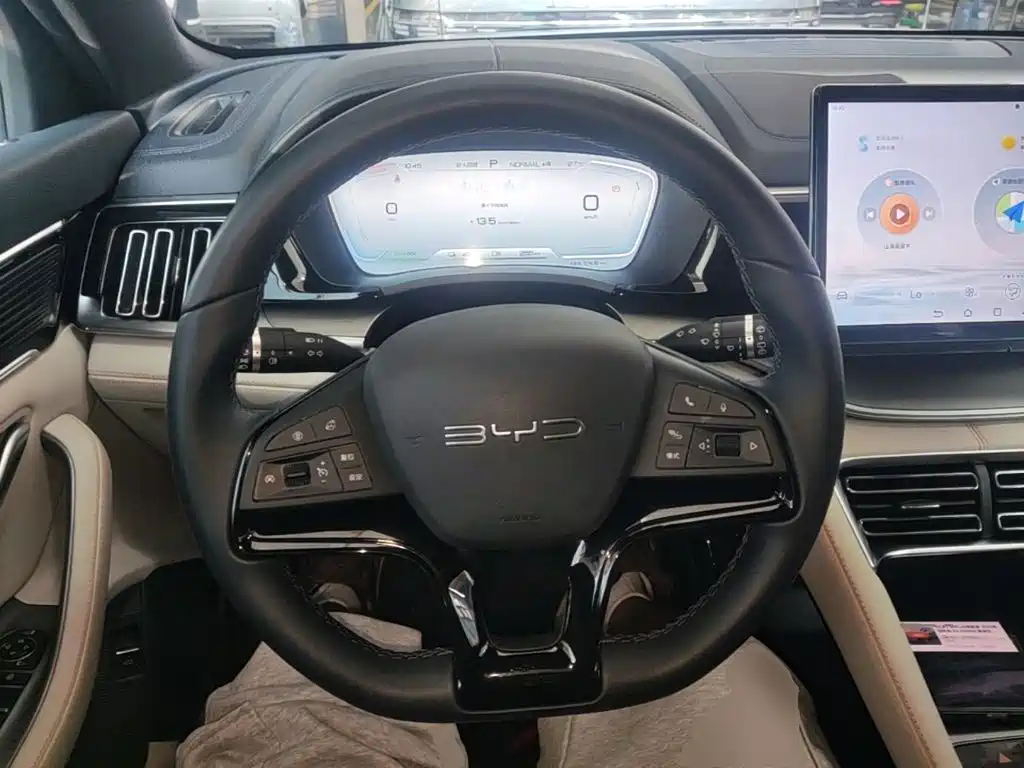 BYD PLUS New Energy — фото 11