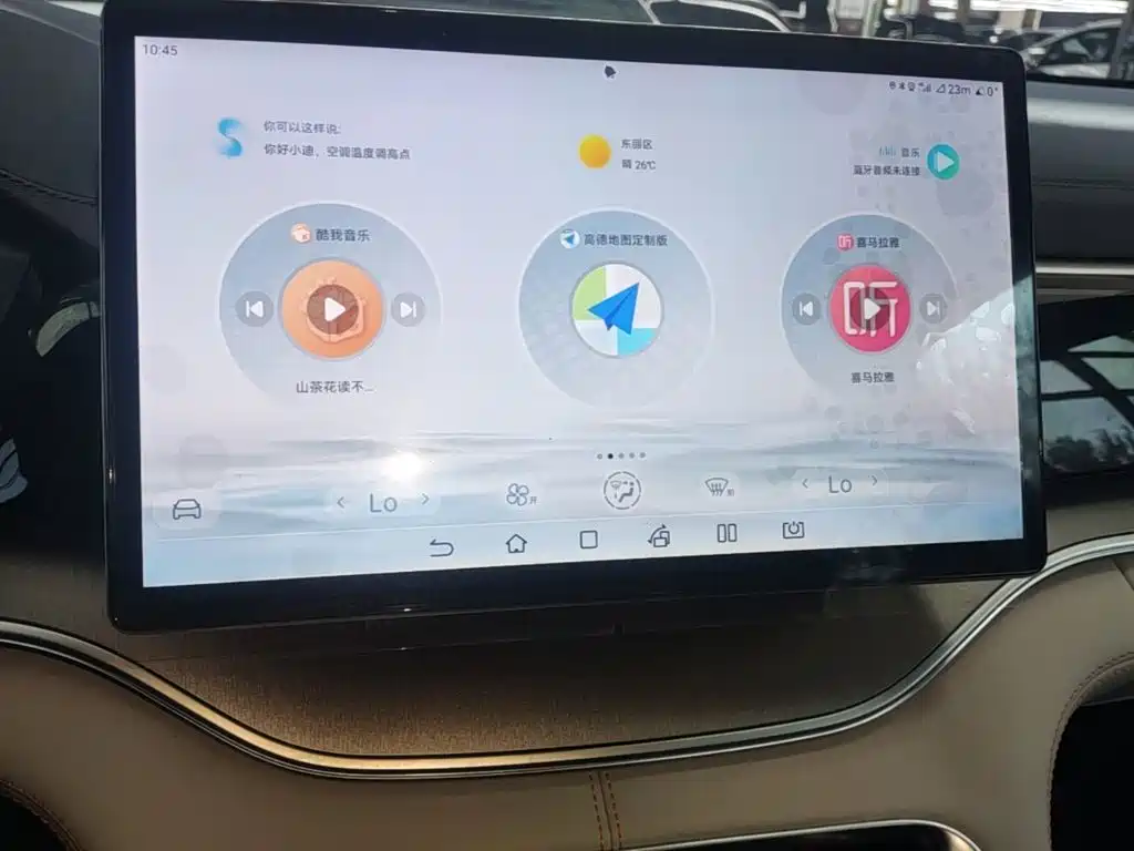BYD PLUS New Energy — фото 13