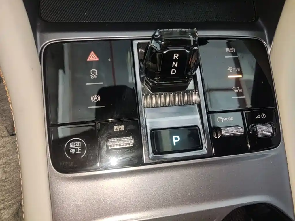 BYD PLUS New Energy — фото 14