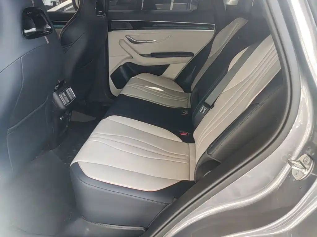 BYD PLUS New Energy — фото 17
