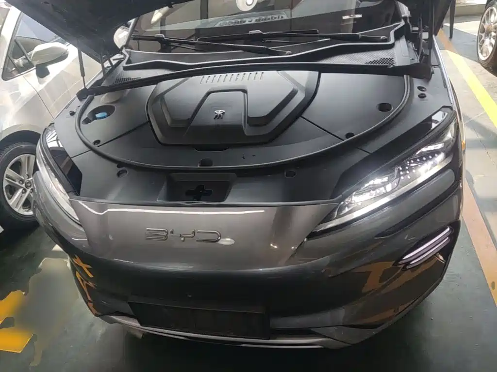 BYD PLUS New Energy — фото 20
