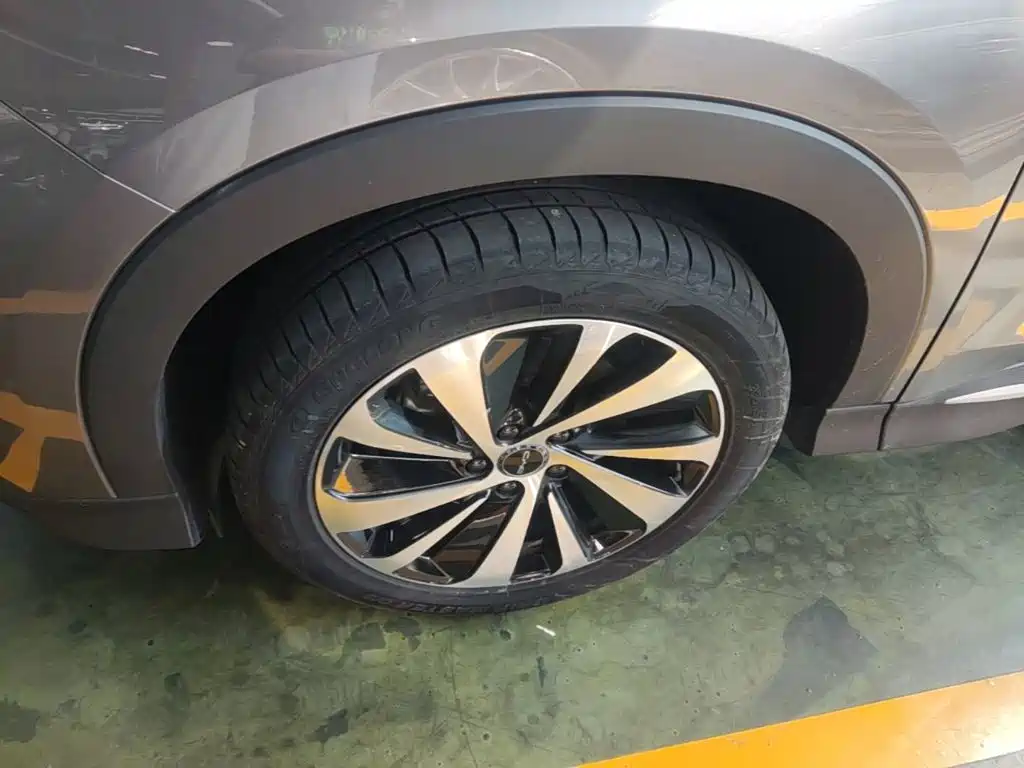 BYD PLUS New Energy — фото 23
