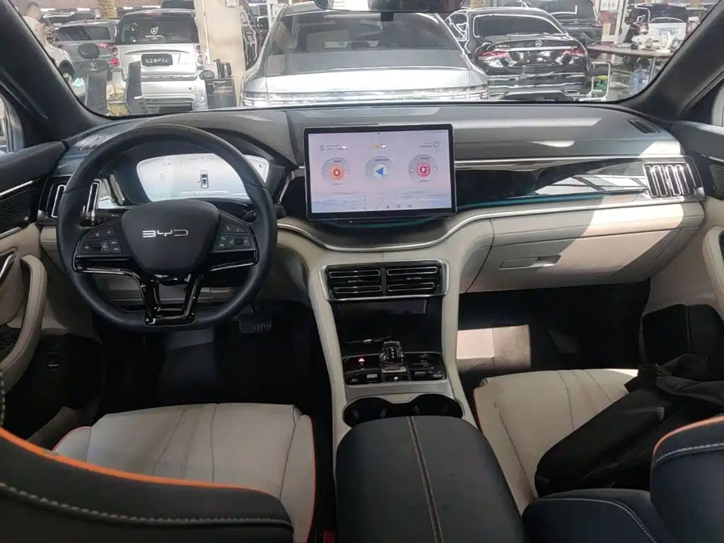 BYD PLUS New Energy — фото 10