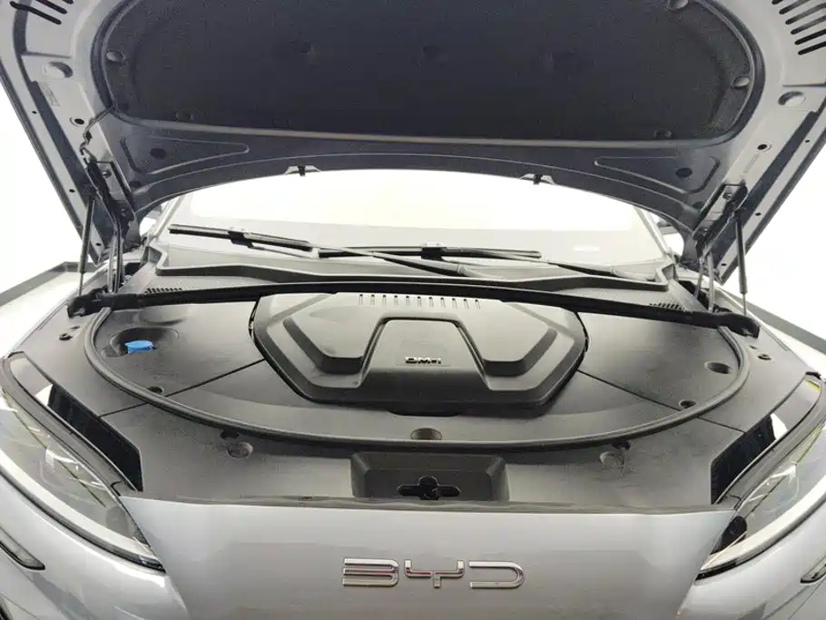BYD PLUS New Energy — фото 10