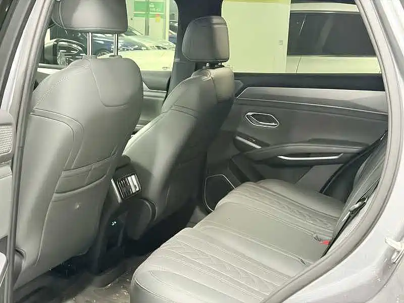 BYD L DM-i — фото 6