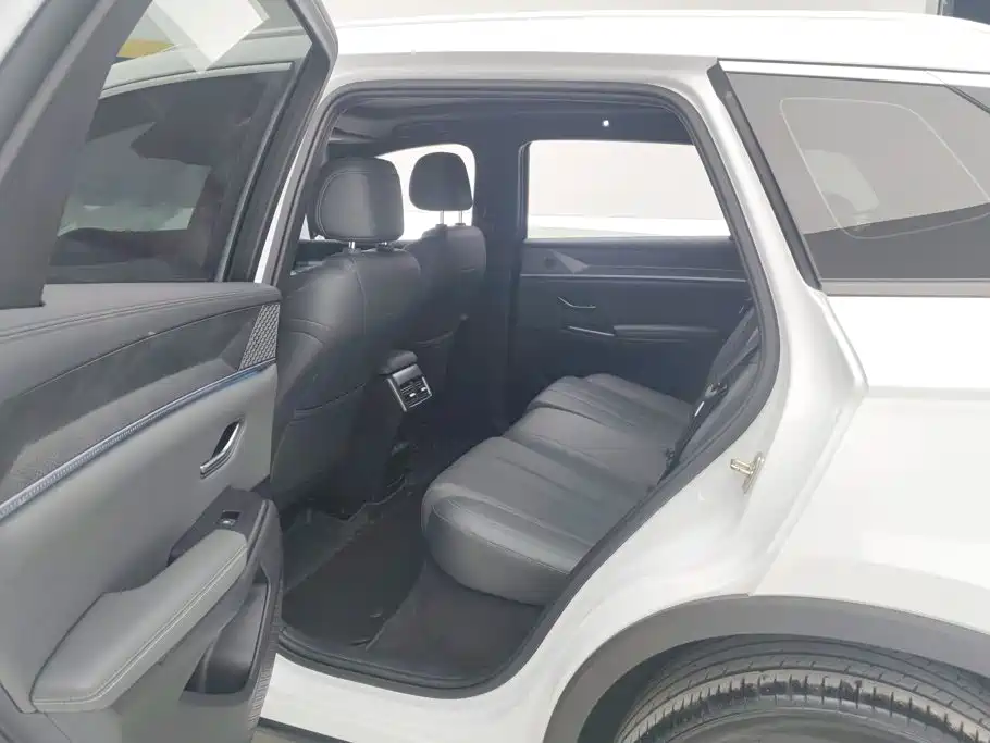 BYD Pro New Energy — фото 11