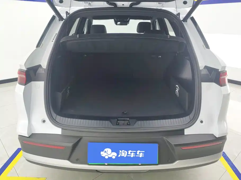 BYD Pro New Energy — фото 4