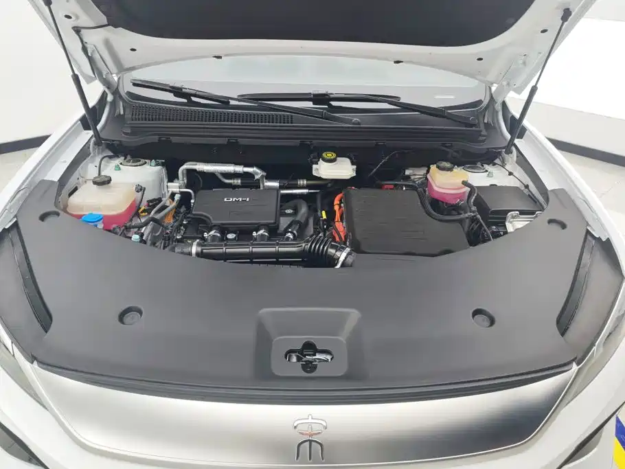 BYD Pro New Energy — фото 10