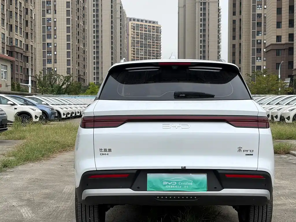 BYD Pro New Energy — фото 5