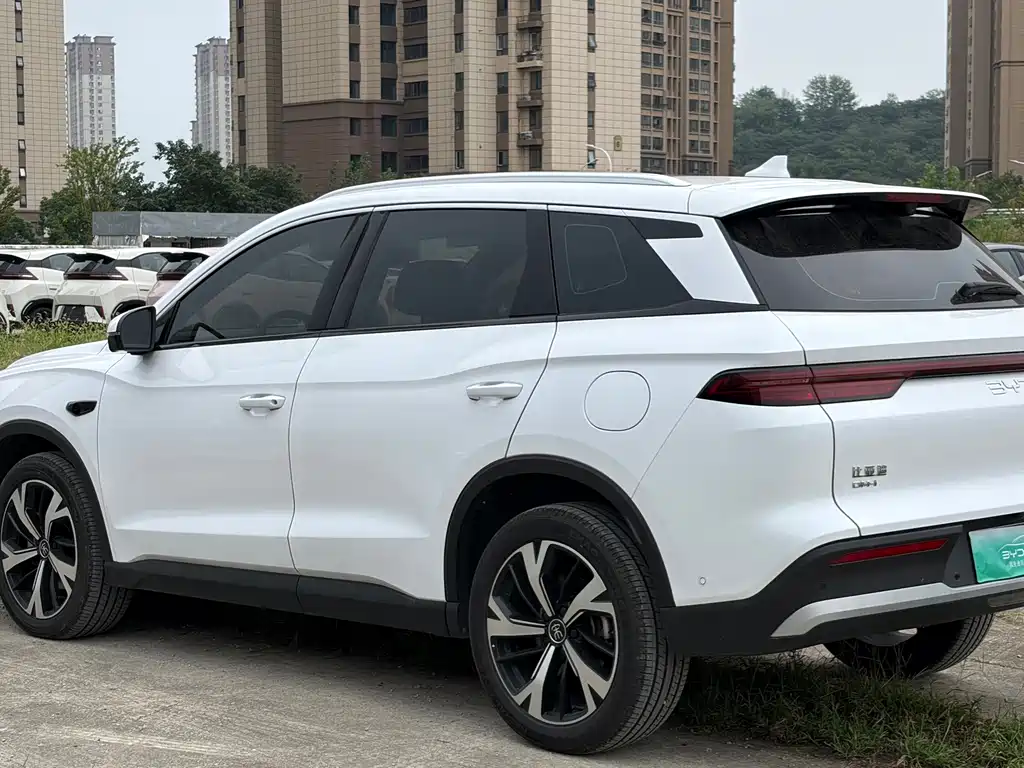 BYD Pro New Energy — фото 6