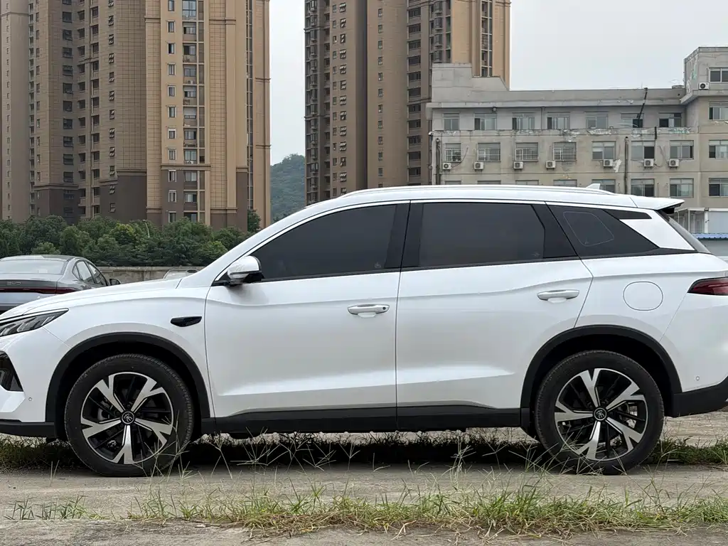 BYD Pro New Energy — фото 7
