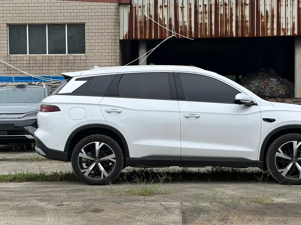 BYD Pro New Energy — фото 8