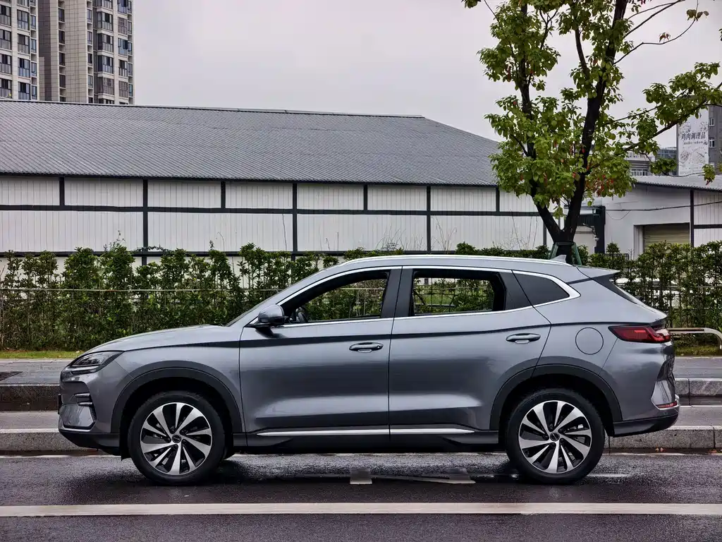 BYD PLUS New Energy — фото 4
