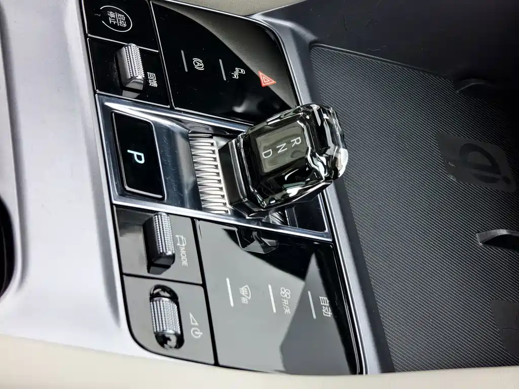 BYD PLUS New Energy — фото 10