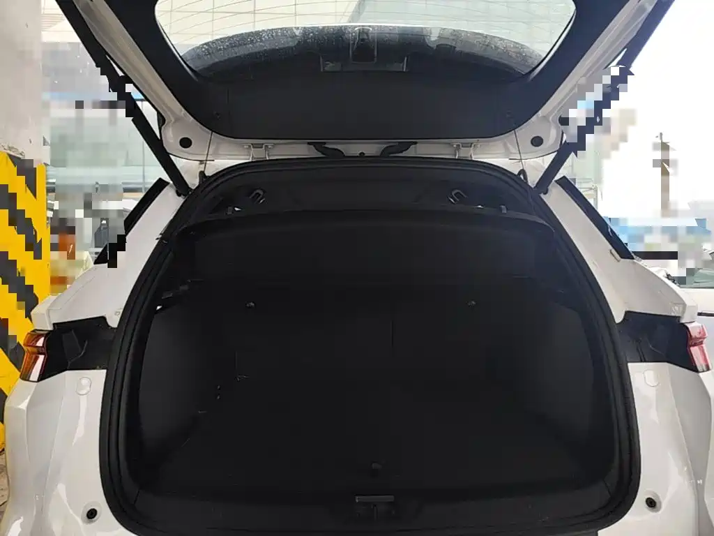 BYD Pro New Energy — фото 19